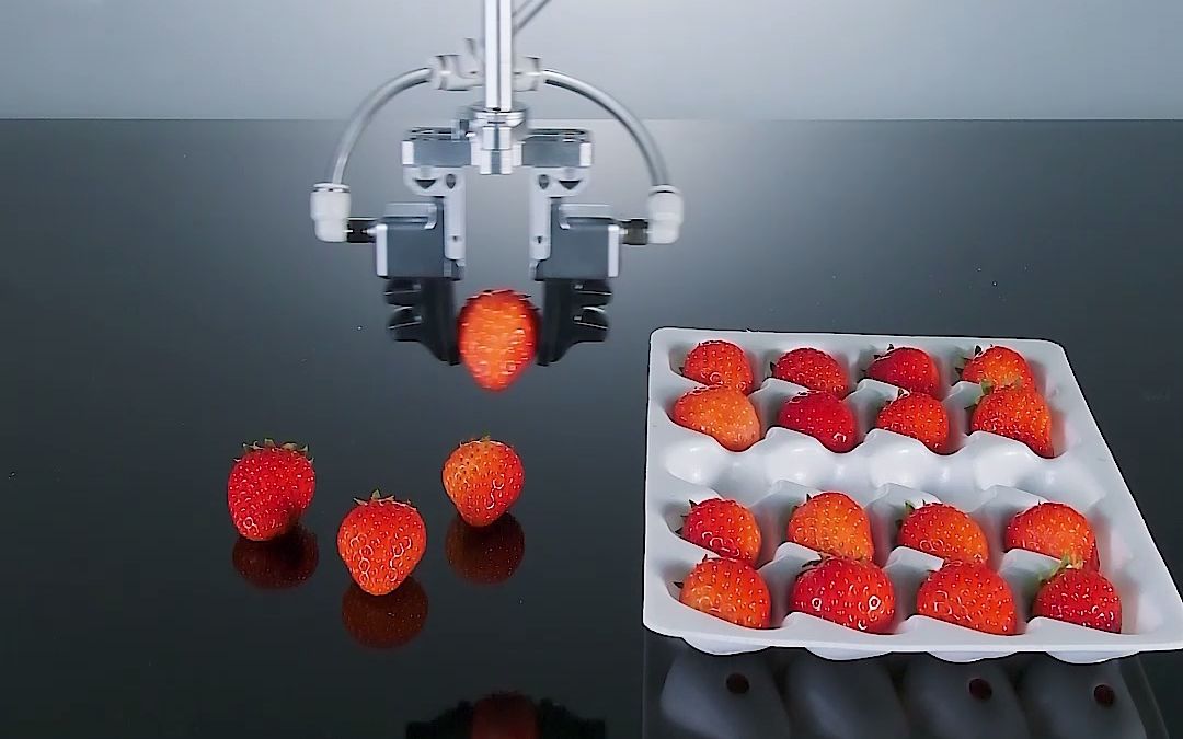 Intelligent strawberry sorting system