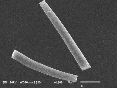 An antibacterial protein nanofiber
